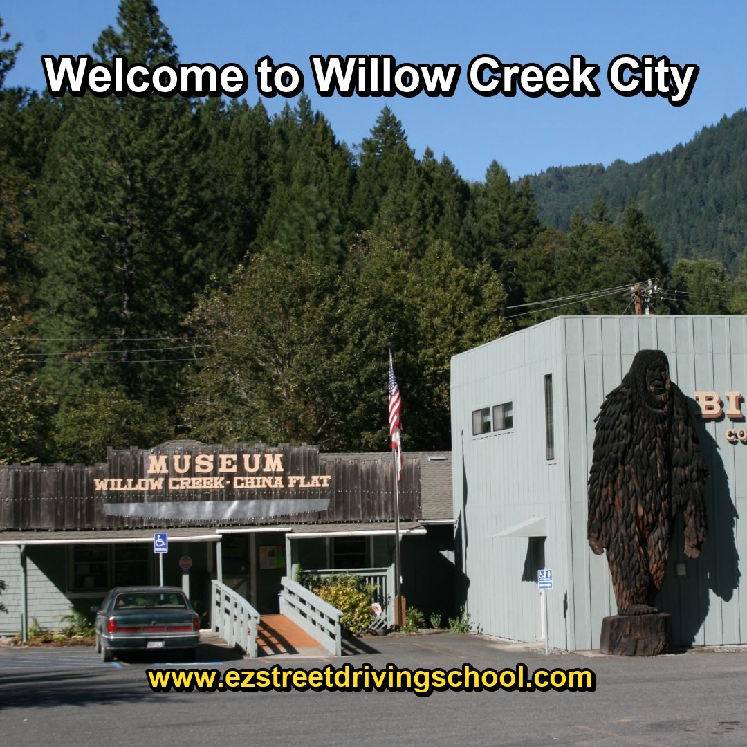 Driving Lessons in Willow Creek